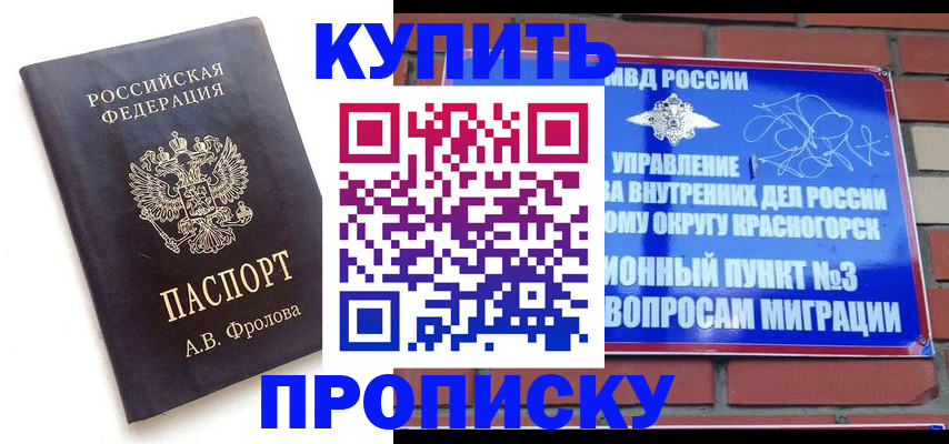прописка поиск в Вельске